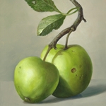 Twee appels 18 x 13 cm, olieverf op paneel